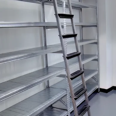 regały z drabiną pod ścianą